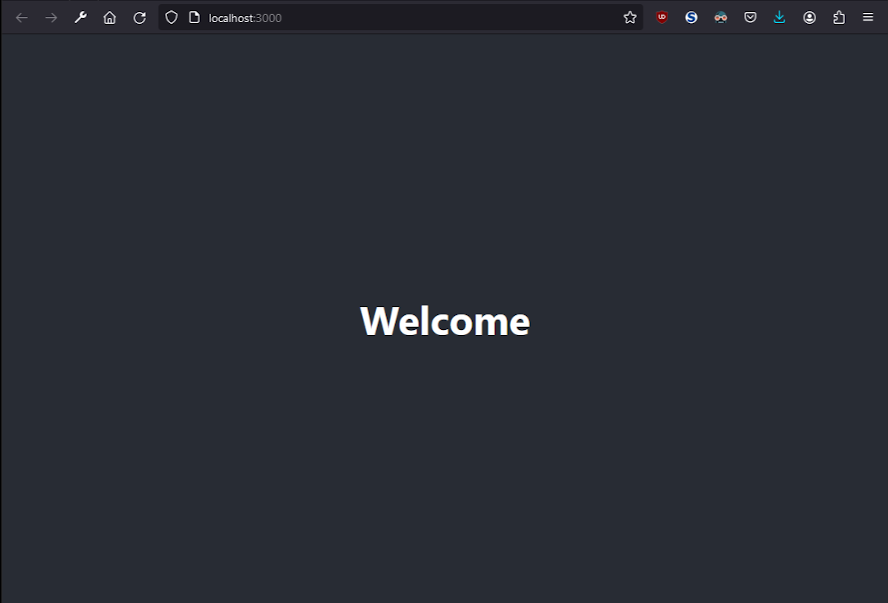 package.json file