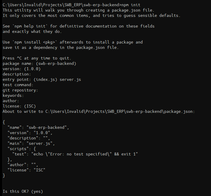 initializing node package manager