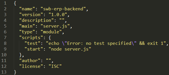 package.json file